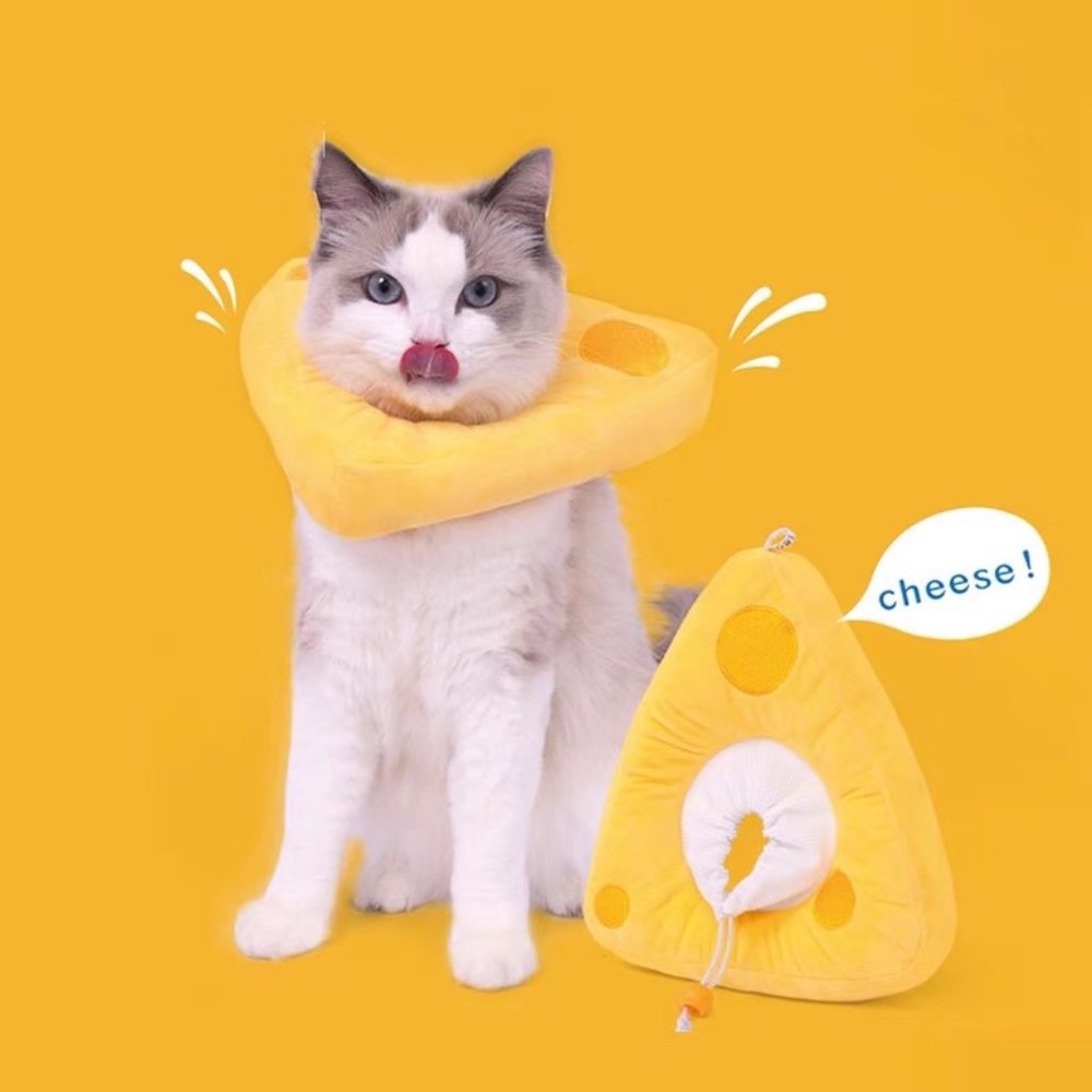 🎄Christmas gift for your cat - Cheese E collar